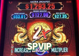 SPVIP Logo Seguro